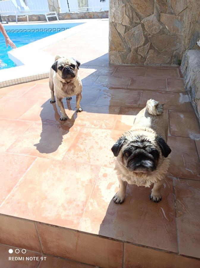 Mobilhome Costa Del Sol Mutxamel Kültér fotó